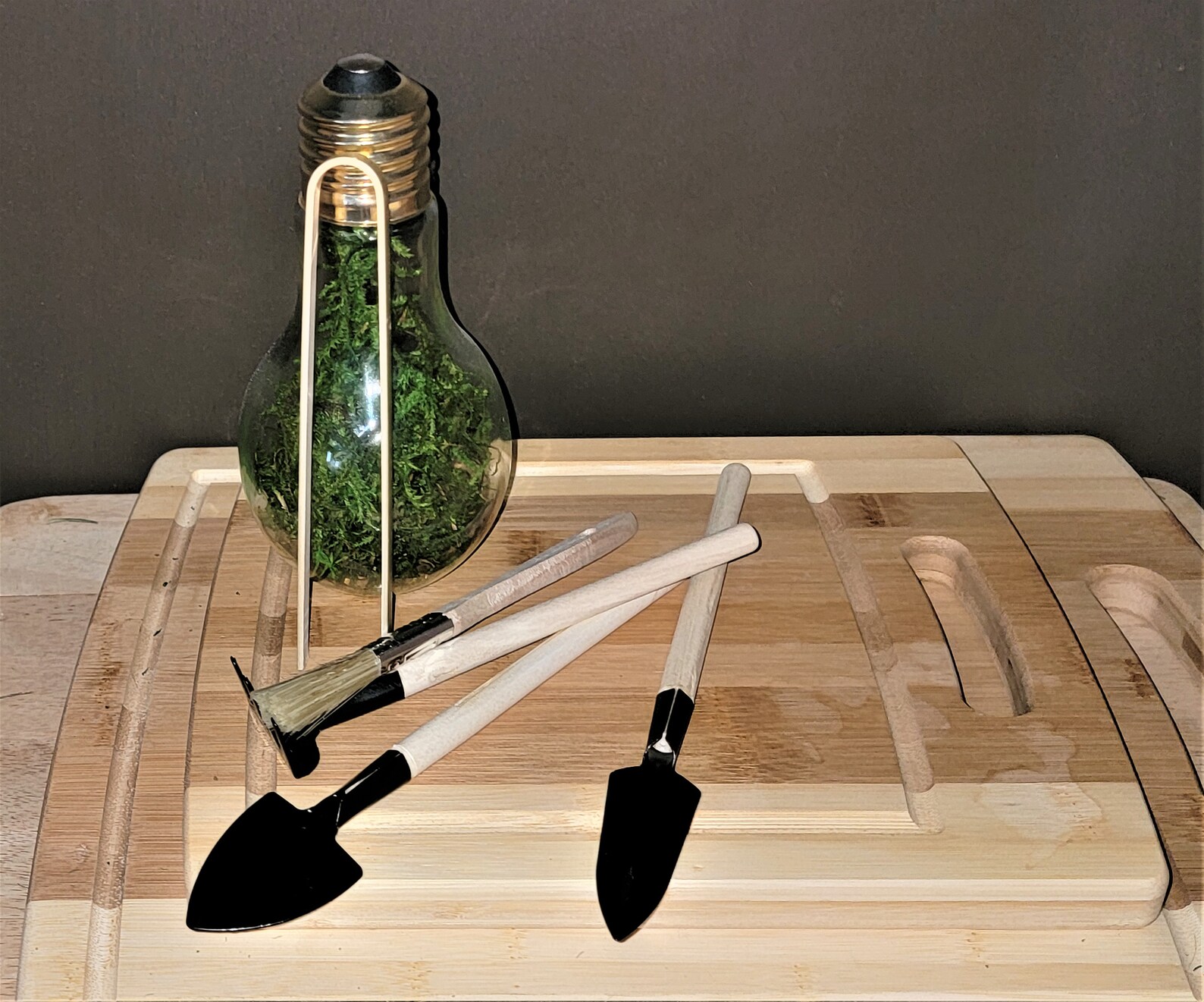 Terrarium Tool kit 5 piece starter set includes Etsy