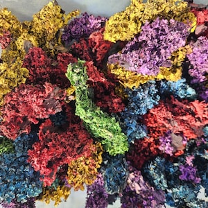Dyed Tree Lichens - Assorted Colors, Craft Supply - 1 oz Bag