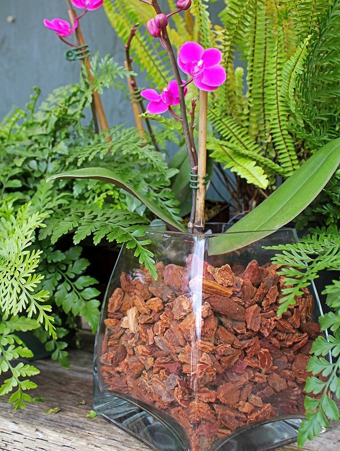 Orchid Bark1 pound bagNatural Douglasfir tree barkOrchid Etsy