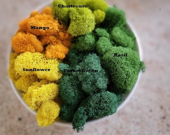 Preserved Reindeer moss-Floral moss-4 oz bag in many colors-Deer foot Moss-Mango-Red-Gray-Purple-Blue-Preserved Lichens