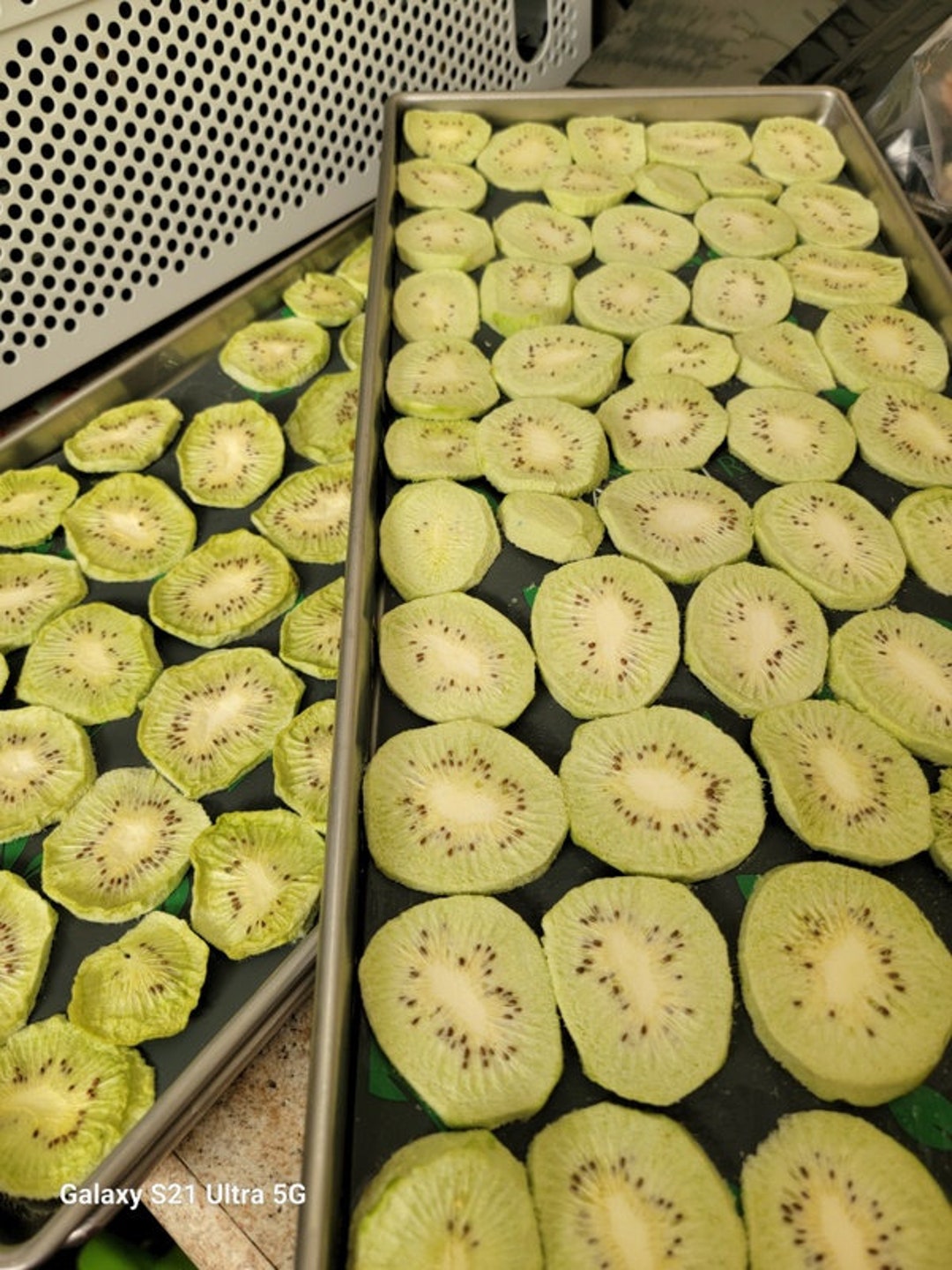 Freezedried Kiwi 3 Kiwis per Bag24 Slices 2 Oz Bags Etsy