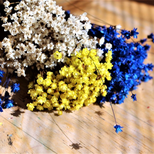 Star flower bundles-Dried flowers-Yellow flowers-Bridesmaid-Corsages-Blue-Natural Ivory