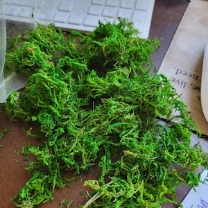 May include: A pile of preserved green moss, perfect for adding a touch of nature to crafts and decor.