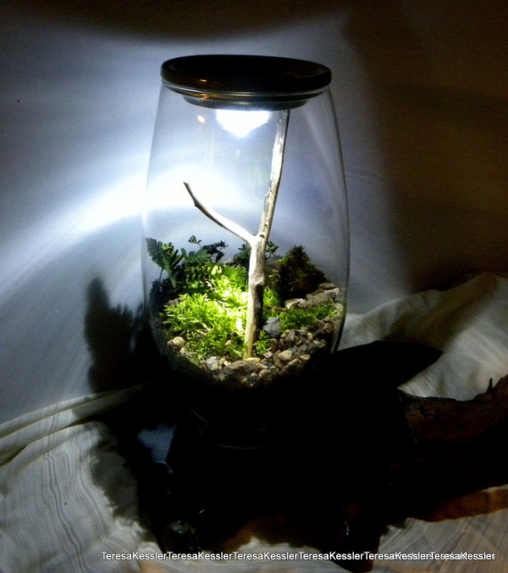 Light up your Terrarium or fairy gardenWaterproof led light Etsy