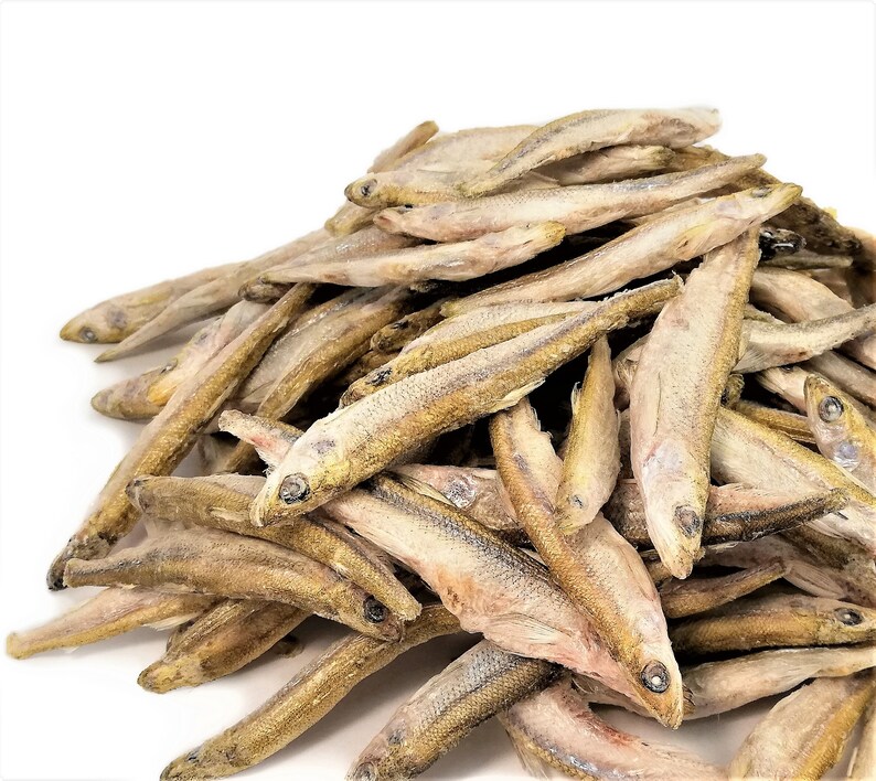 Smeltfreeze Dried Treats for Dogscatsferretsisopods and Etsy