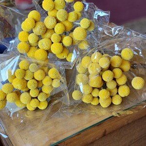 May include: A bunch of yellow billy buttons, also known as craspedia, are wrapped in clear plastic. The flowers are small and round, and they are arranged in a bouquet.