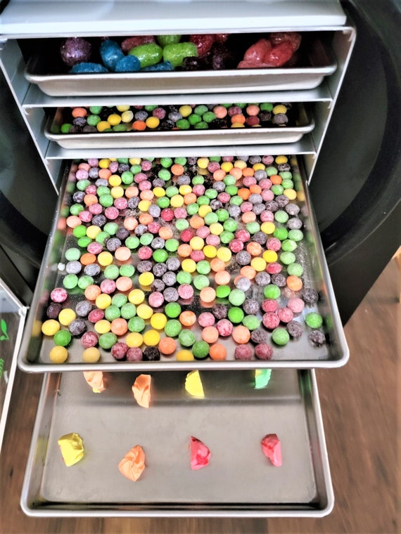 $100 Dehydrator vs $4,000 Freeze Drier 🥶🤯 #freezedriedcandy #freezed, Dehydrated Candy