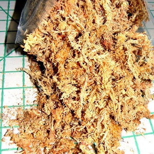 Sphagnum moss 1 oz bags for orchids-Potting medium-Grapevine ball and basket stuffer image 1
