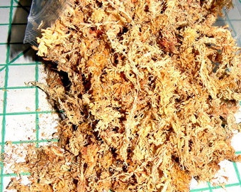 New Zealand Sphagnum Moss 100 Gram Compressed Brick 