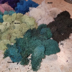 Preserved Reindeer moss-Floral moss-4 oz bag in many colors-Deer foot Moss-Mango-Red-Gray-Purple-Blue-Preserved Lichens image 3