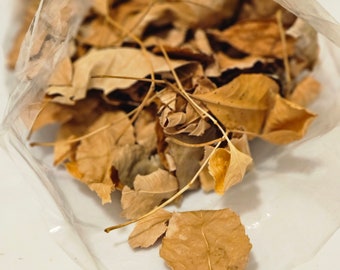 Reptile Leaf Litter-Isopod leaf litter | Dried Colorado tree Leaves |Frog Leaf Litter | 1 Oz bag Pesticide Free