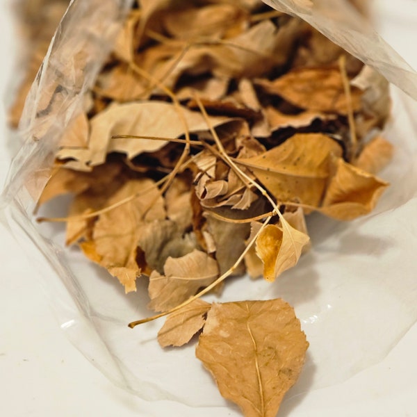 Reptile Leaf Litter-Isopod leaf litter | Dried Colorado tree Leaves |Frog Leaf Litter | 1 Oz bag Pesticide Free