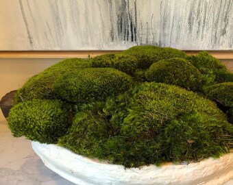 Mood Moss Preserved-Gallon Bag full - Real Moss-Floral supplies-Wedding Supplies-Fairy Garden Parties-NO WATER NEEDED