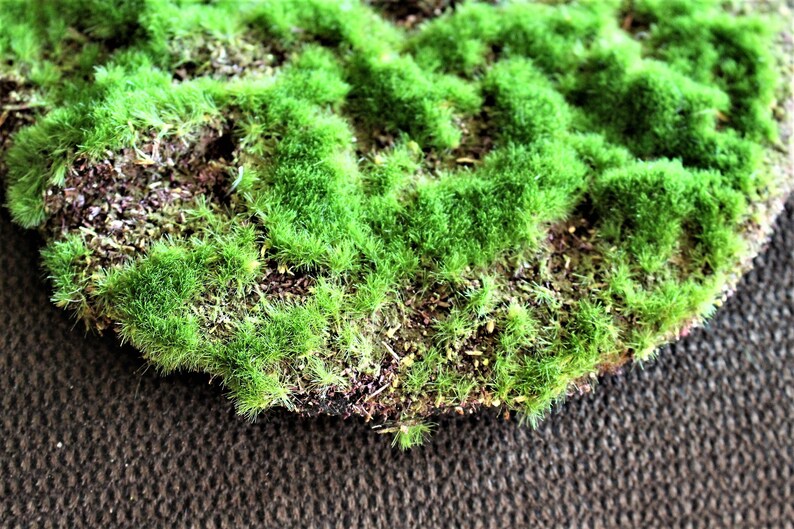 Artificial Moss Padfairy Garden Moss Fieldartificial Soil Etsy