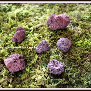 Lava rocks 6 Oz Bag Terrarium supplies-Dinosaur rocks-Assorted sized small lava rocks