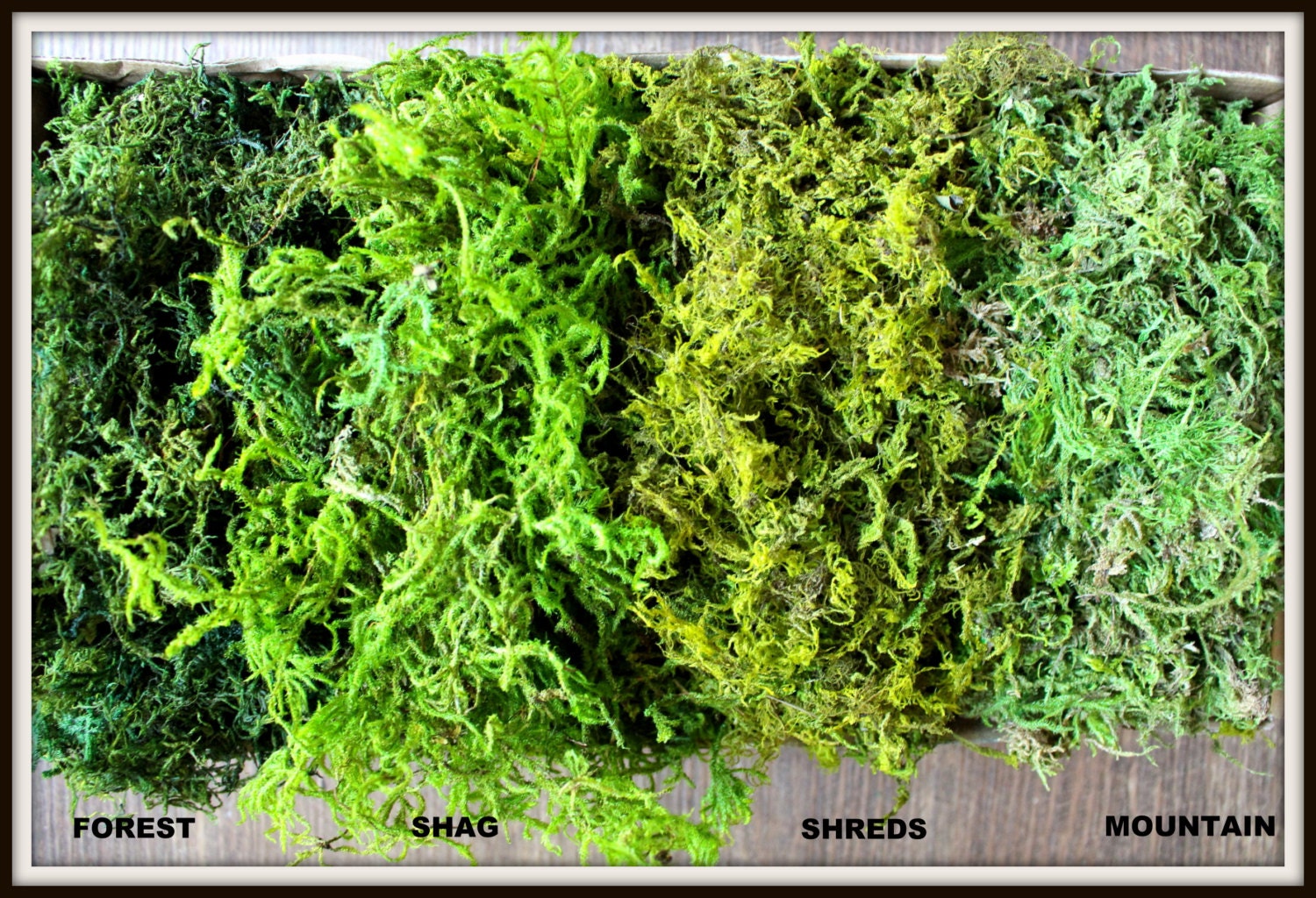 BULK Moss 1 1/2 pounds of REAL moss in 5 stylesBasket Etsy