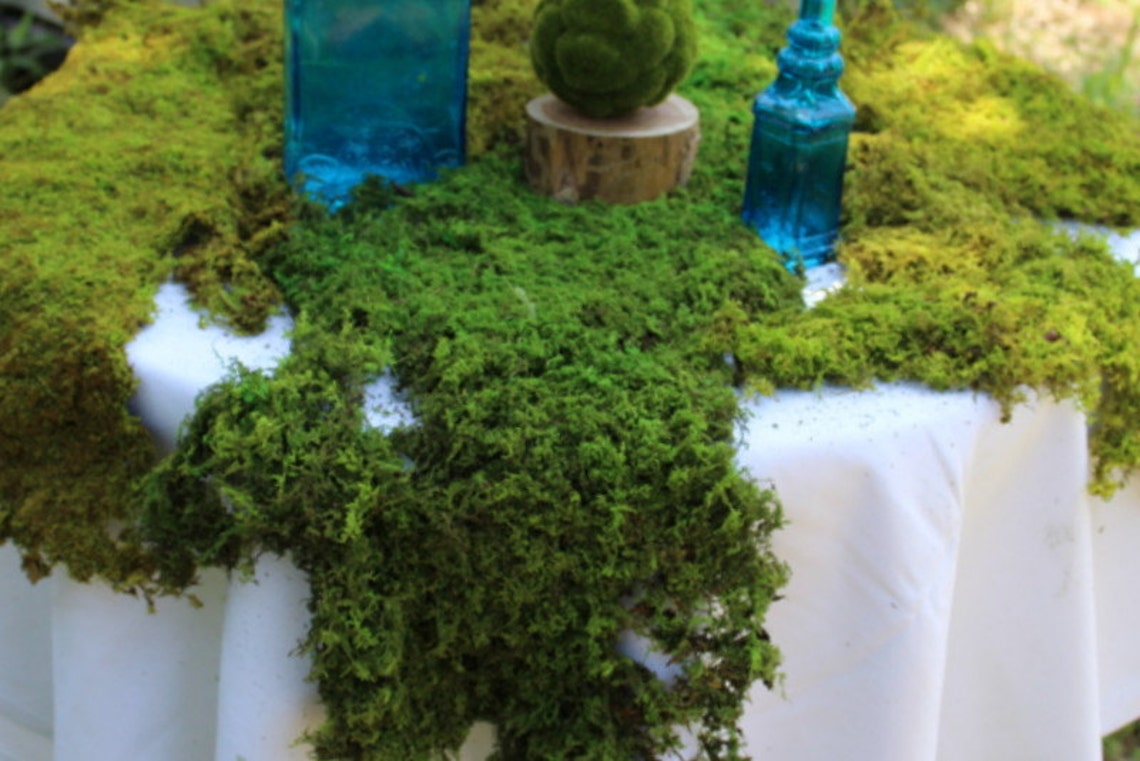 download free sheet moss