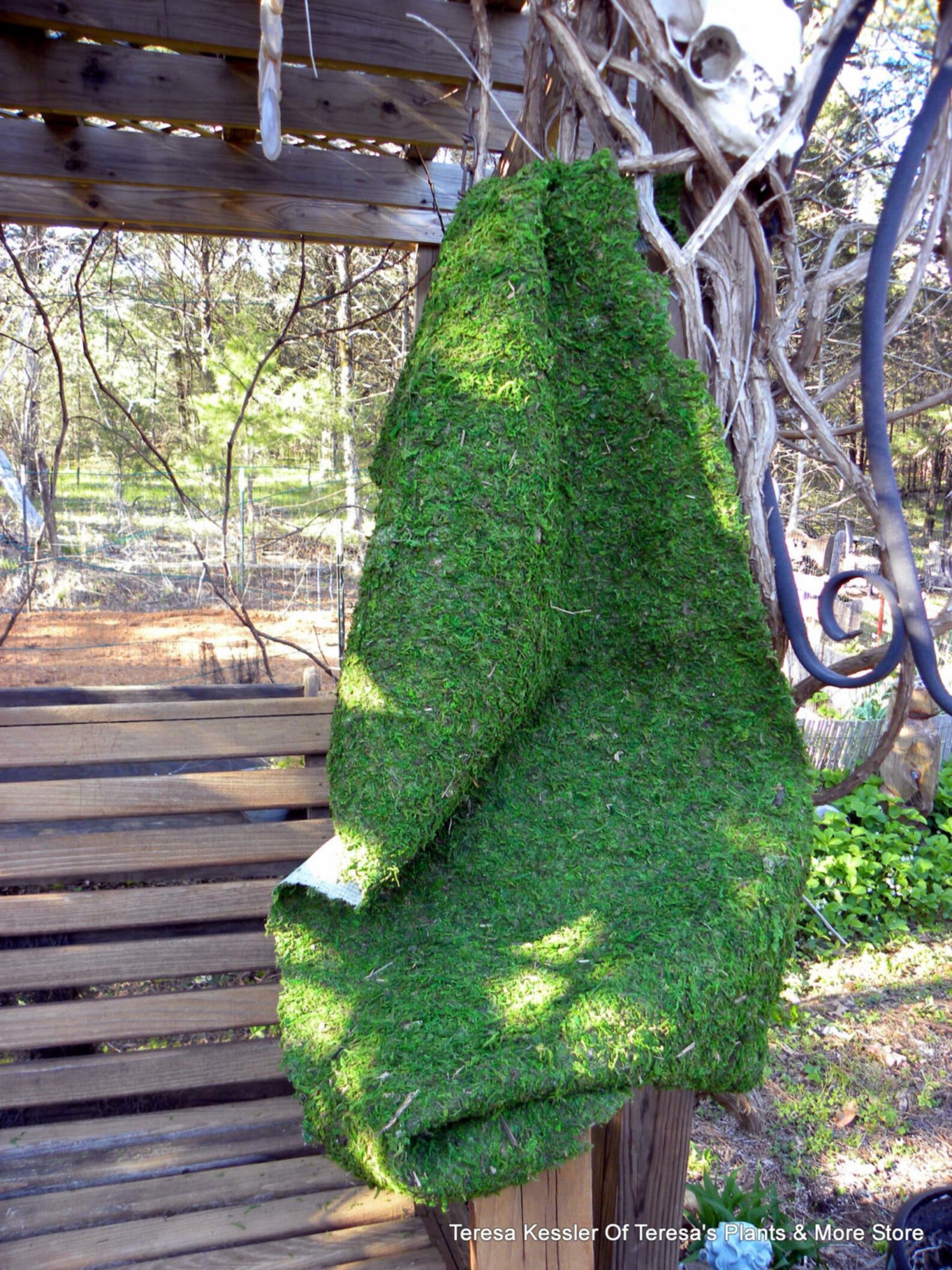 NEW Peel & Stick Moss table runnersMoss matsPreserved Moss Etsy