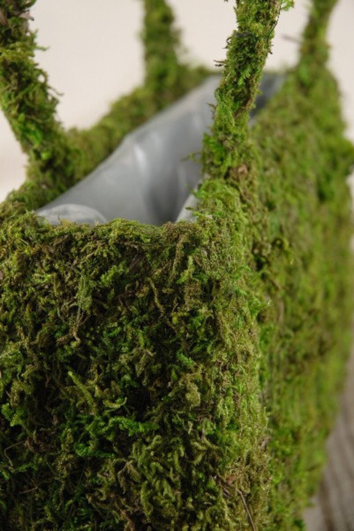 Moss Purse Large Moss PursePreserved Mossno water Etsy