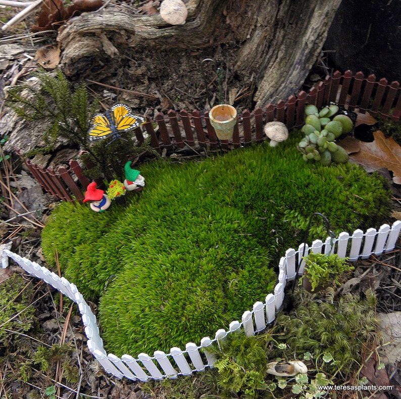 Miniature Fence Fairy Garden Fence Choose 1 Or 2 Etsy