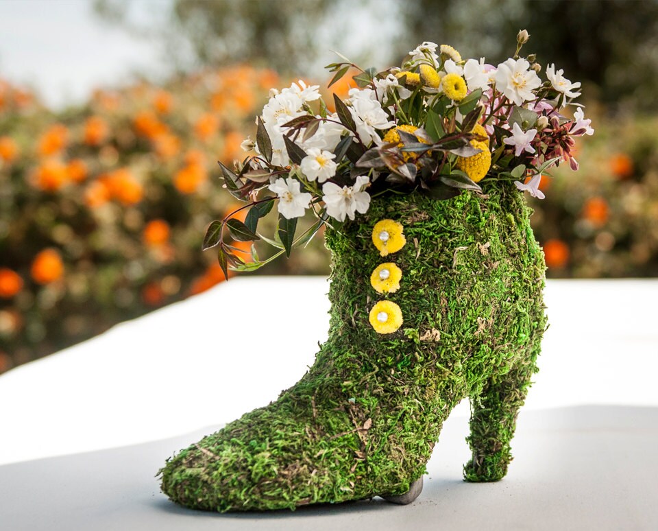 Moss shoe Planters 4 your choiceShoe BasketsMoss shoeMoss