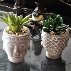 May include: Two small succulent plants in gray concrete planters shaped like Buddha heads. The plants are green and have a variety of textures.