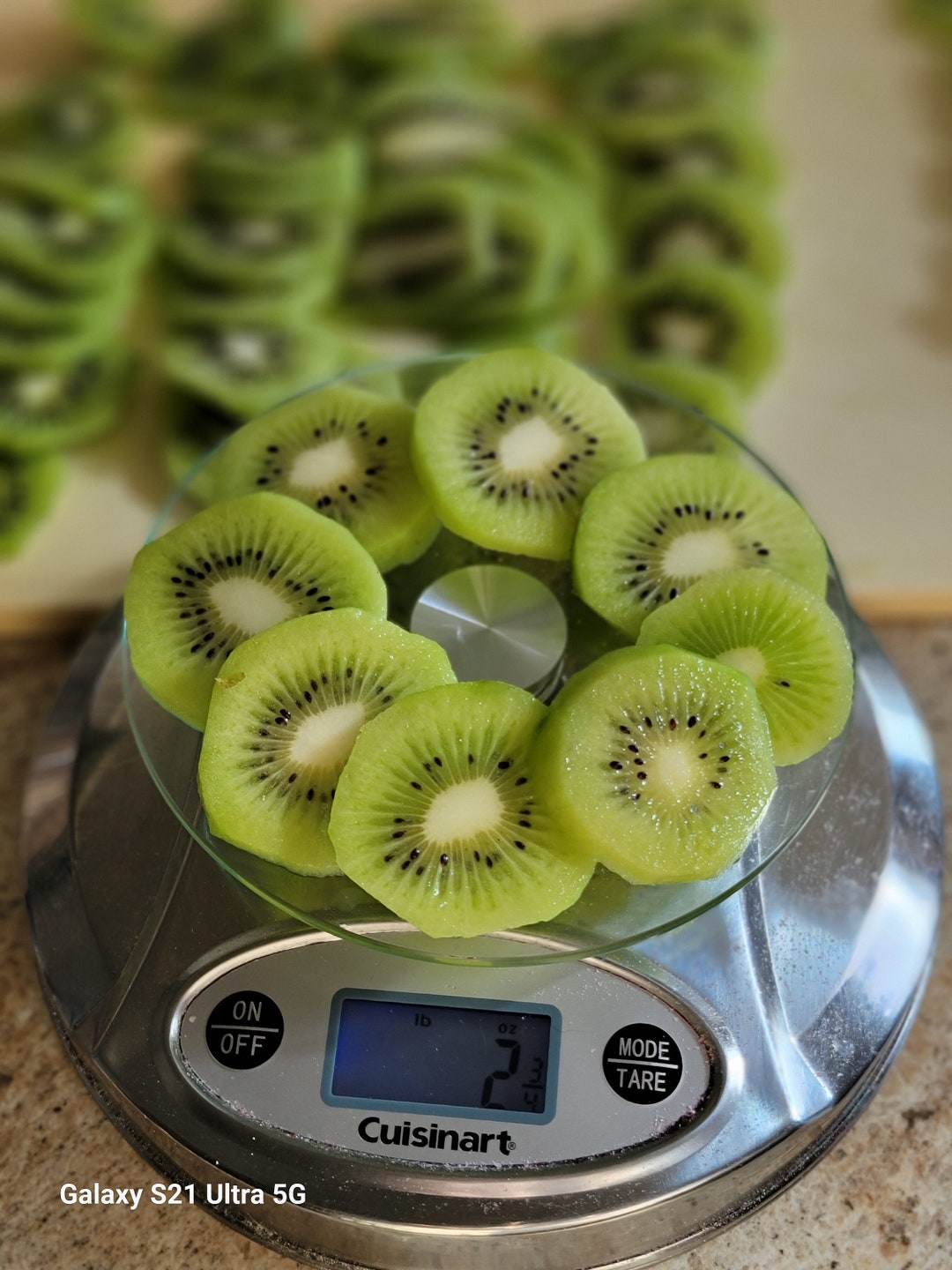 Freezedried Kiwi 3 Kiwis per Bag24 Slices 1 Oz Bags Free Shipping Etsy