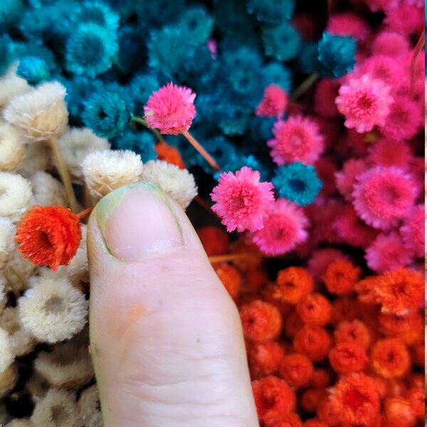 Small Flowers | Happy flowers 30+ stems | Tiny dried flowers | Dried Mini Wedding flowers | Pink flowers | Purple Flowers | yellow Flowers