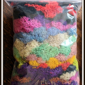 Bulk Reindeer Moss | Preserved Moss | Colored Moss | 1 pound bag assorted colors