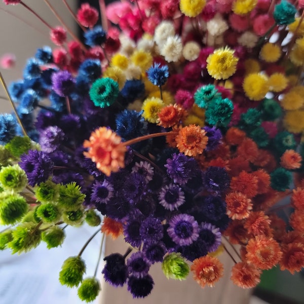 Happy flowers-30+ stems or more here-Tiny dried flowers-Dried Mini Wedding flowers-pink-purple-yellow-green small flowers