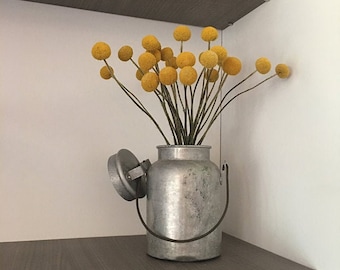 Craspedia 12 long stems - Grown in the USA-Billy Balls-Billy Buttons-Dried Yellow Wedding Flowers