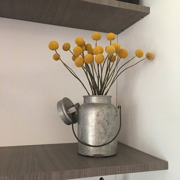 Craspedia 12 long stems - Grown in the USA-Billy Balls-Billy Buttons-Dried Yellow Wedding Flowers