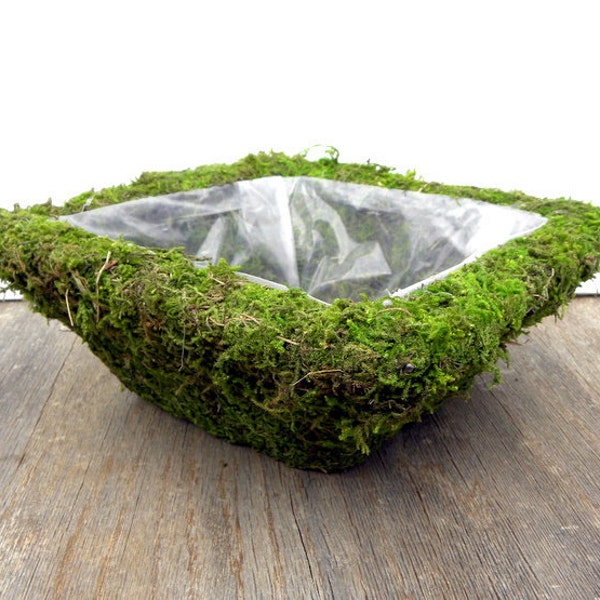 Mary 17 Square Mossy Baskets