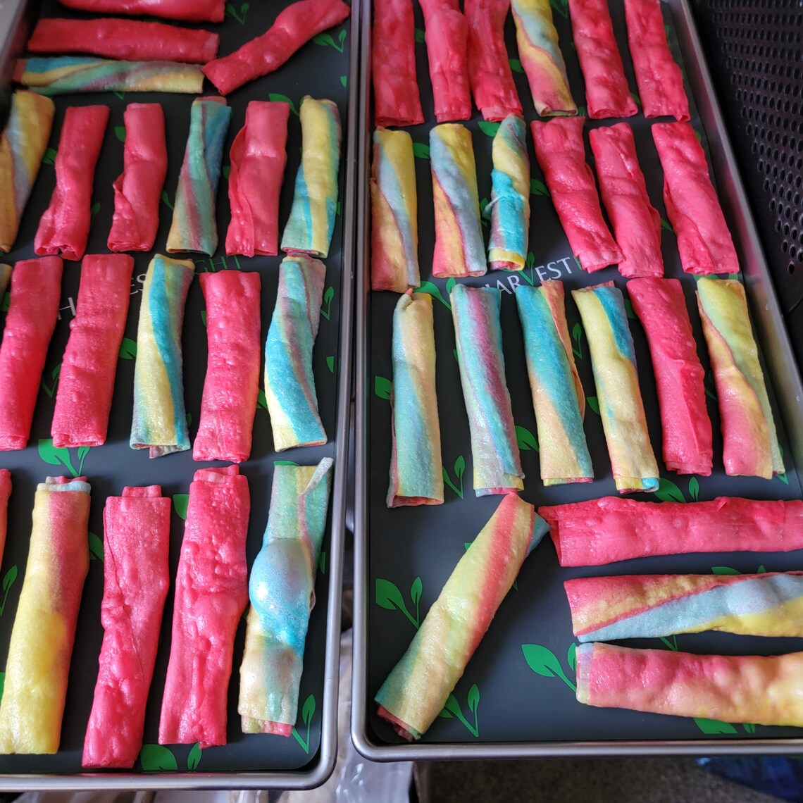 Freeze Dried Fruit Roll Ups 50 Rolled Fruit Flavored Snacks Etsy
