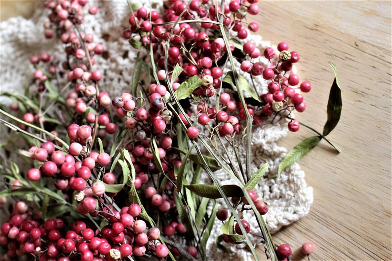 Pink Pepper berriesChoose your amount neededFloral Etsy