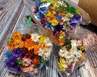 Tiny Flowers | 30 Dried Wedding | Assorted Colored Flower Bunch | Flowers Resin art