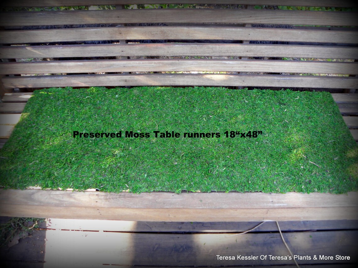 NEW Peel & Stick Moss table runnersMoss matsPreserved Moss Etsy