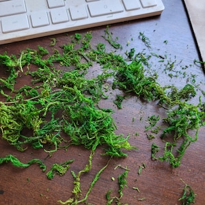 Shredded Moss - Dyed Sphagnum - Preserved Moss - 2 Oz Bag