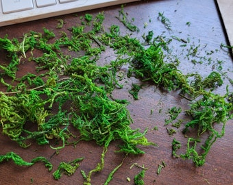 Shredded Moss Sphagnum Moss for Terrariums-Dried Moss-Preserved Moss-2 Oz Bag
