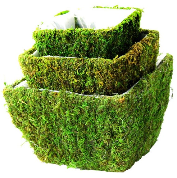 Items similar to Moss baskets Windsor Set of 3 Moss Basket planters NO