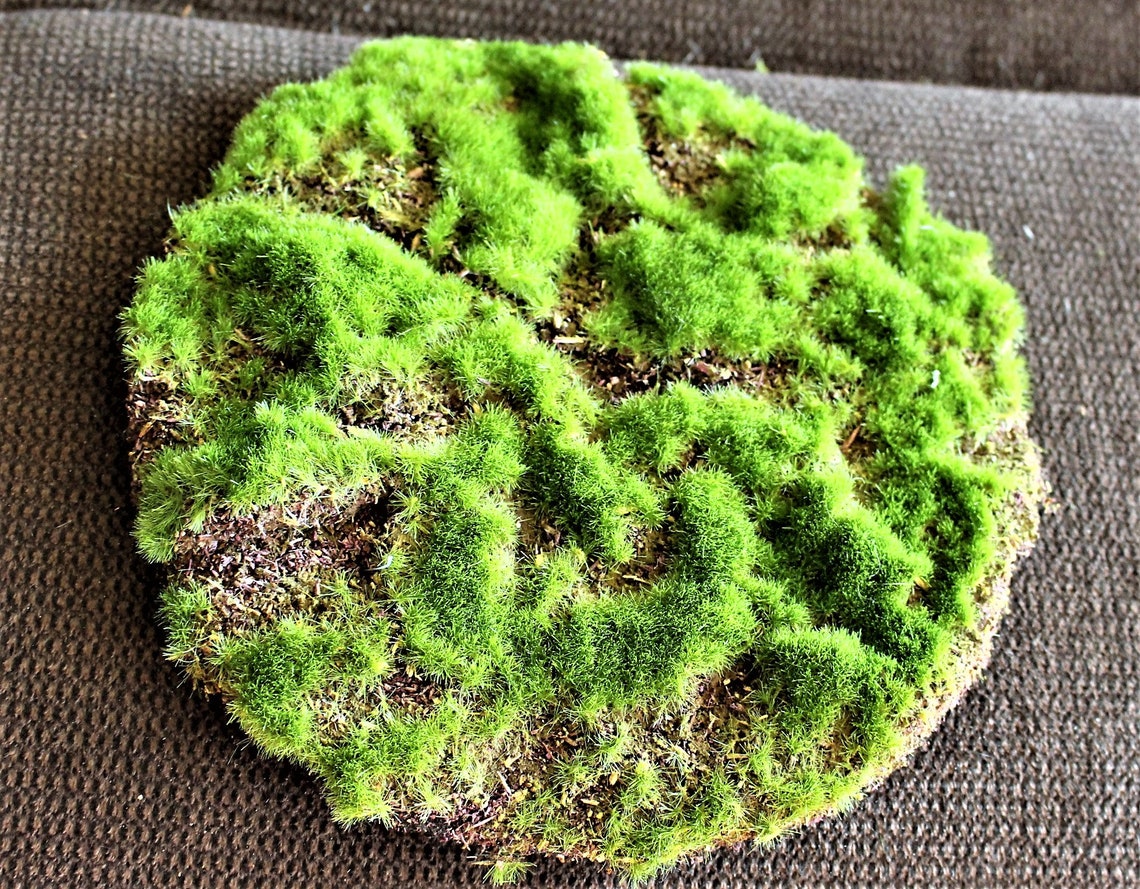 Artificial Moss Padfairy Garden Moss Fieldartificial Soil Etsy