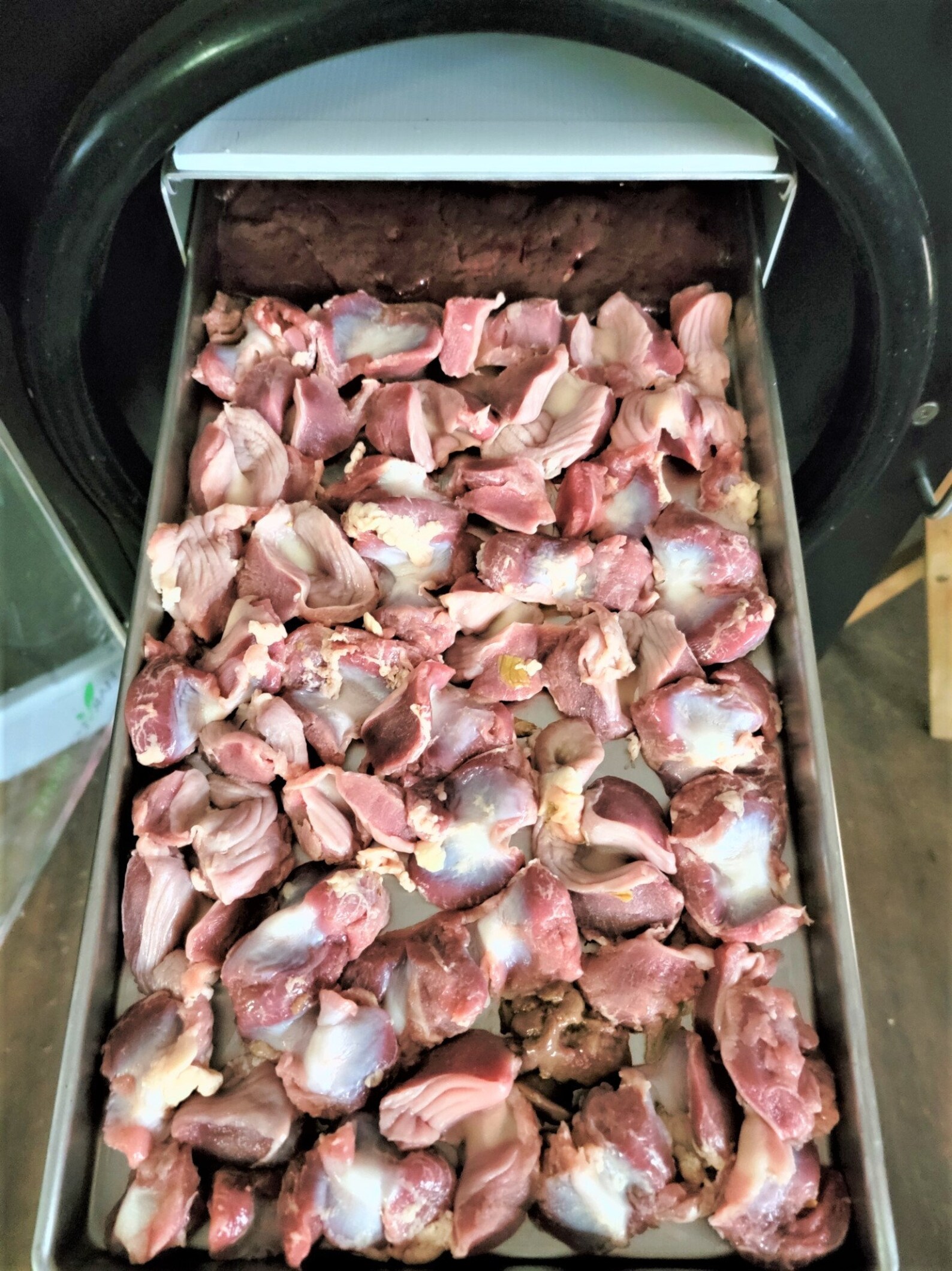 Freeze Dried Chicken Gizzards 2 oz bagMade in the USA fresh Etsy