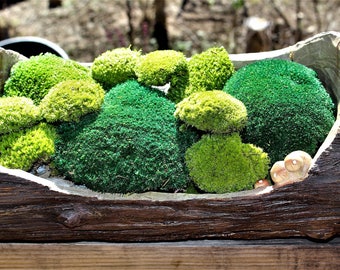 Pillow Moss Preserved Moss-SMALL Pillow Moss sections-Cushion Moss-NO WATER needed-6 small pieces per sandwich bag