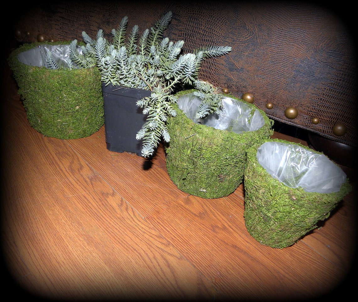 Moss baskets6 sets of Creekside baskets Set of 3Moss Basket Etsy