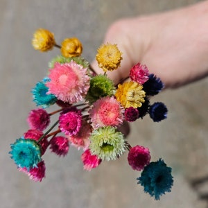 Happy flowers- 50 Tiny dried flowers-Dried Mini Wedding flowers-Small Bouquet