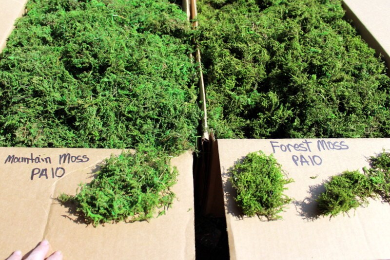 BULK Moss Preserved 10 pound box filledSphagnum MossForest Etsy