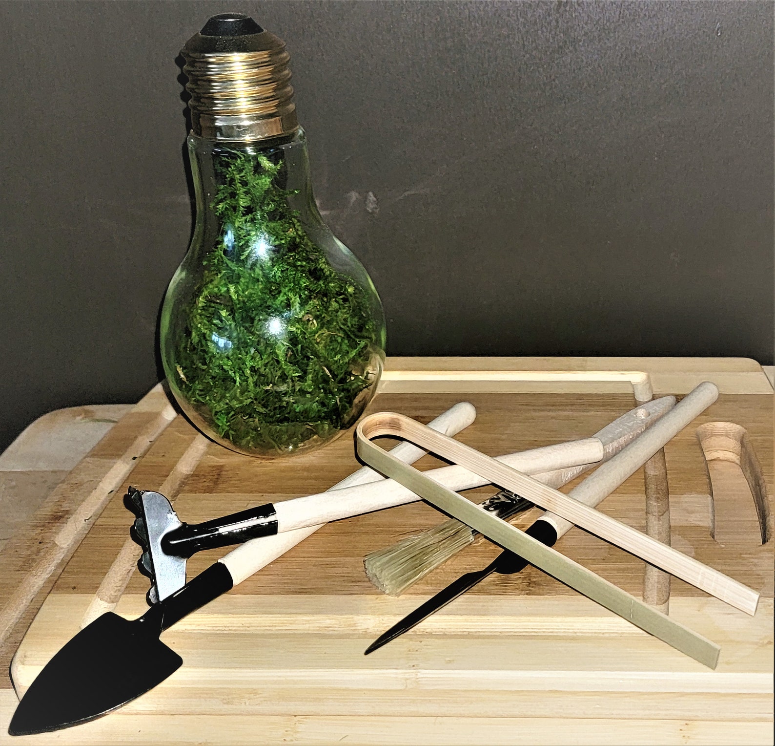 Terrarium Tool kit 5 piece starter set includes Etsy