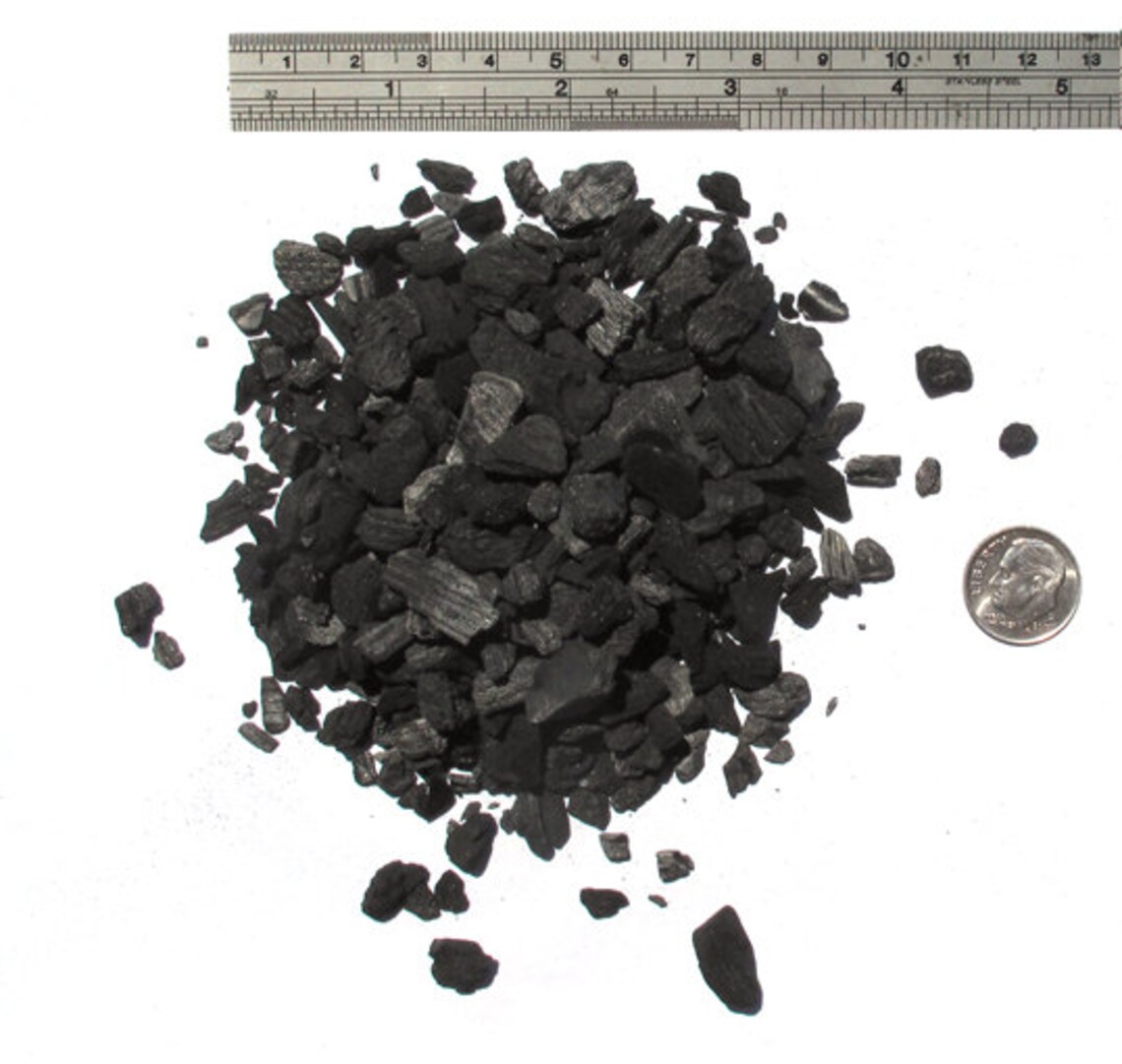 Bulk Activated Charcoal for Terrariums1 Pound Bag of Etsy