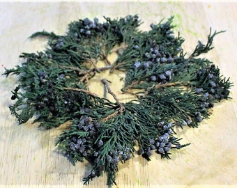 Preserved Juniper | Blueberry Juniper | Christmas | Aromatic juniper-10 Pieces