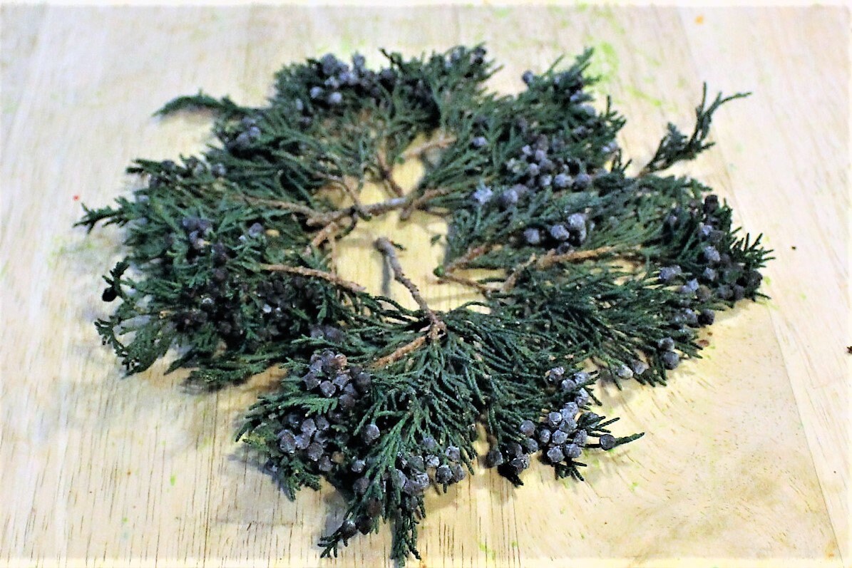 Juniper - Blueberry Juniper Branch tips Preserved-Christmas package d…